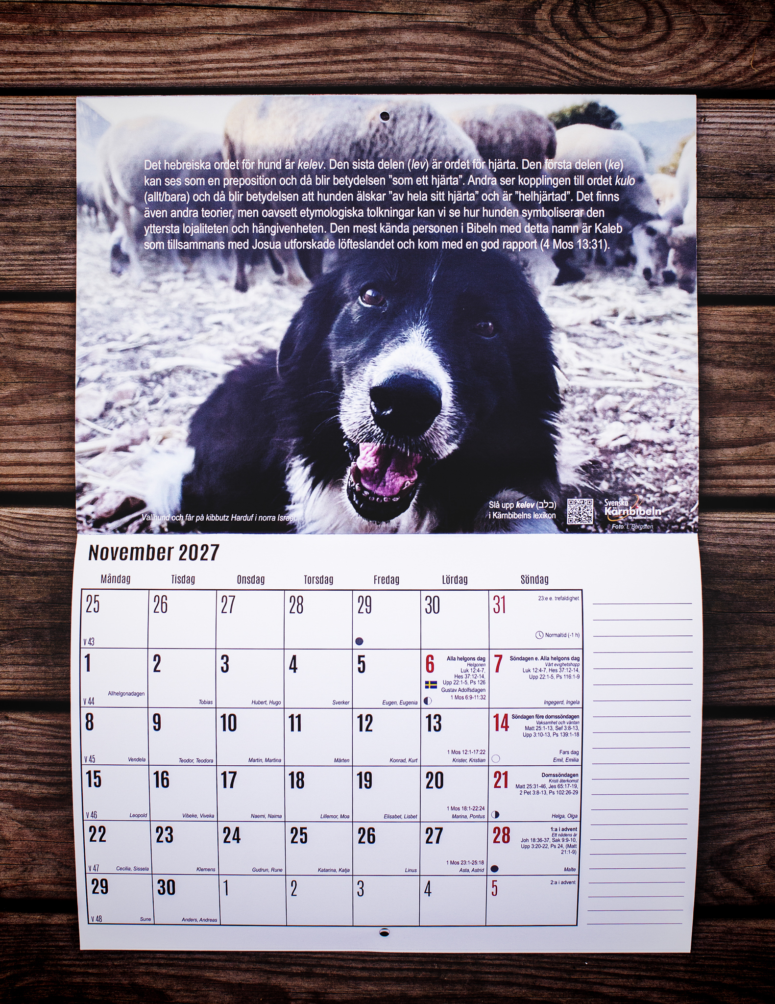 Paket – Helbibel + Kärntexter + Kalender - Bild 19