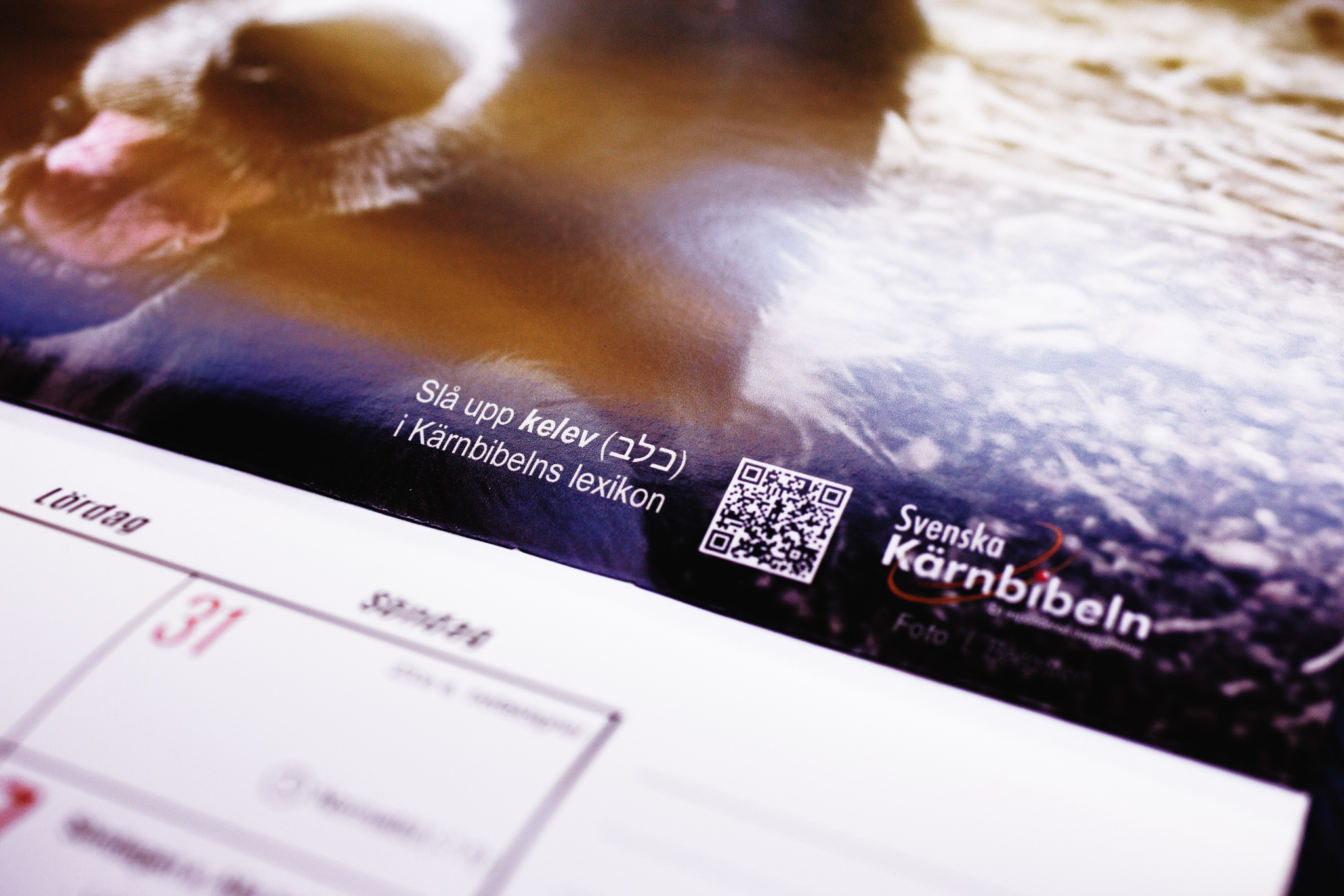 Paket – Helbibel + Kärntexter + Kalender - Bild 22