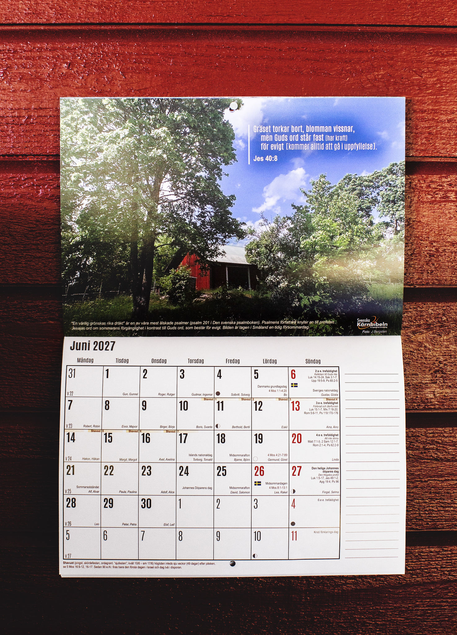 Paket – Helbibel + Kärntexter + Kalender - Bild 20