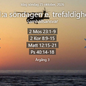 21:a söndagen efter trefaldighet – samhällsansvar (Quiz 5 frågor)